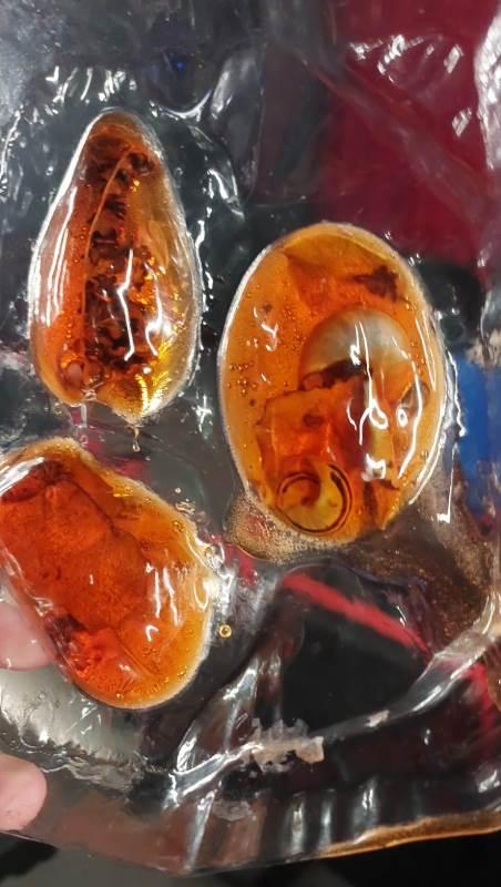 FAMILIJNY KLUB FILMOWY: RELACJA Z WARSZTATÓW PRZED FILMEM „OSKAR, PATKA I ZŁOTO BAŁTYKU”