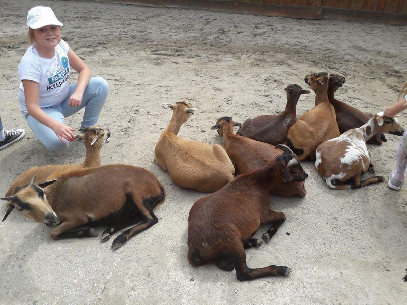 Konkurs fotograficzny dla uczestników wycieczki do Zoo Safari Borysew
